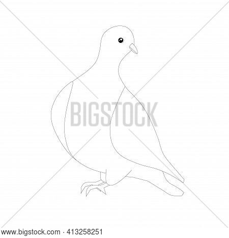 Dove Sketch Design Element Stock Vector Illustration For Coloring Book, Anti Stress Page Stock Vecto
