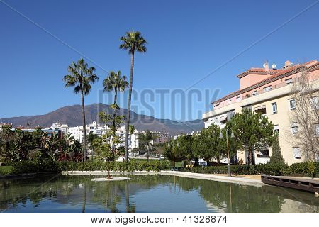 Pálmafák, Estepona, Spanyolország