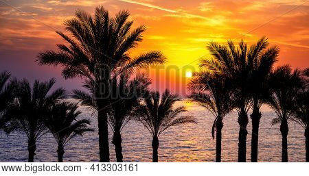 Vibrant sunrise over the Red Sea, Sharm el Shiek, Egypt. Palm trees are silhouetted against a colourful sky.
