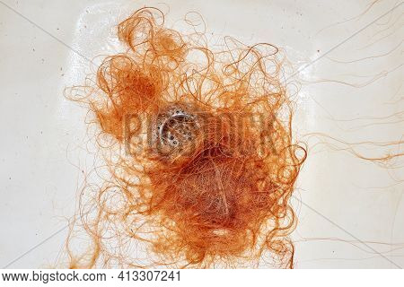 A Large Amount Of Fallen Hair On The Drain Grate Of The Bath. Severe Hair Loss In A Serious Illness.