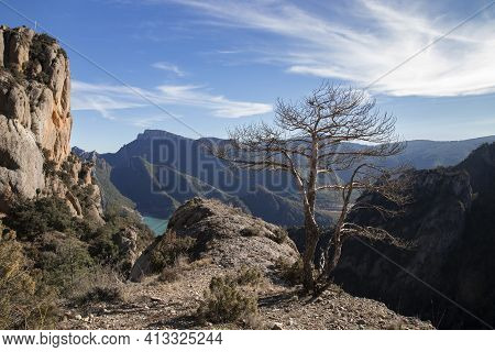 Landscape Sowing Some Mountains And A Swamp Called Llosa Del Cavall And A Tree In The Foreground In 