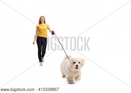 Casual young woman walking towards camera with a maltese poodle dog isolated on white background