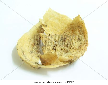 Bird Nest