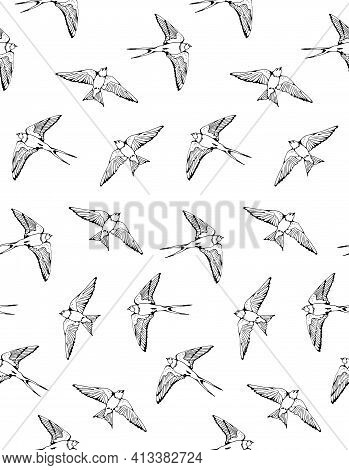 Swallow And House Martin Birds Vector Pattern, Hand Drawn Seamless Background