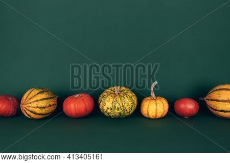 Different Ripe Small Pumpkins In A Row Over Green Background. Seasonal Autamn Vegetable.