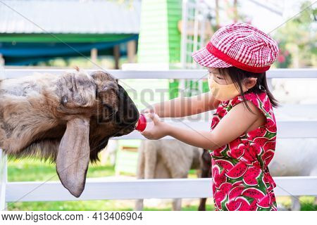Girl Wearing Cloth Face Mask Goes To Zoo. Adorable Baby Feed The Goats With Plastic Bottle. A Four-l