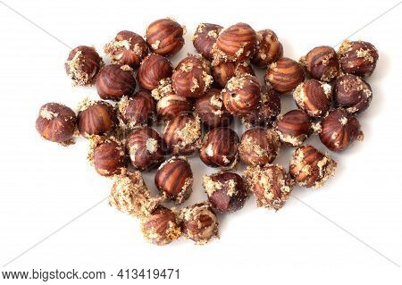 Hazelnut. Hazel Kernel. Mole In Nuts. Moth-spoiled Nuts