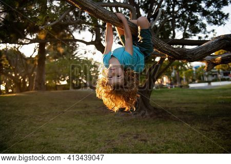 Funny Active Little Blond Kid Enjoying Climbing On Tree. Toddler Child Learning To Climb, Having Fun