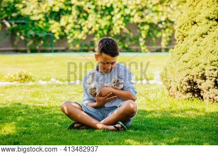 Boy Play With Adorable Gray Kitten Outdoors