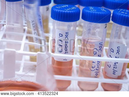 Laboratory Research New Strain Of British Sars-cov-2 Scientifically Named Voc 202012/01 (b.1.1.7), C