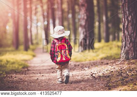 Boy Going Camping In Nature. Hild With Backpack Walking In The Forest