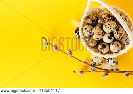 Yellow Background With White Straw Basket Full Of Quail Eggs, And Pussy Willow Branch With Copy Spac