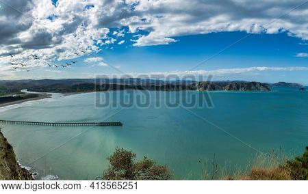 Scenic Views Of Tolaga Bay And Its Historic Wharf Photobombed  By A Group Sea Birds