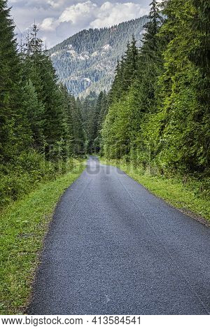 Forest Road In Janska Valley, Low Tatras Mountains, Slovak Republic. Hiking Theme. Seasonal Natural 