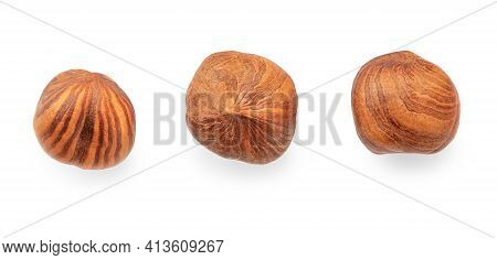 Hazelnuts Isolated On White Background. Top View. Flat Lay. Creative Layout With Hazelnuts
