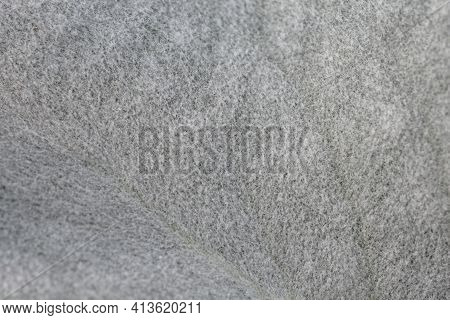 Shining-white Ragwort Angel Wings Leaf Detail  - Latin Name - Senecio Candidans Angel Wings