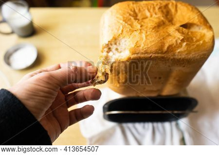 Home Baked Bread. \rfreshly Made White Bread Is Removed From The Bread Pan
