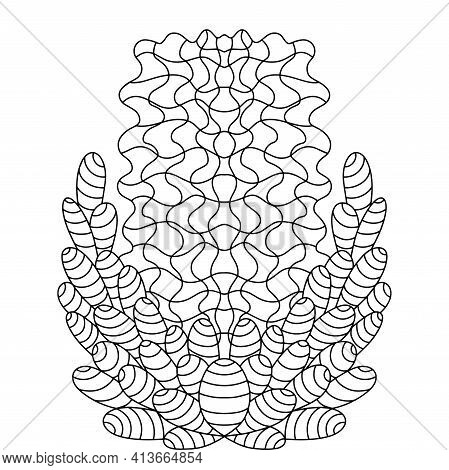 Hyacinth Flower With Leaves Line Art Stock Vector Illustration. Floral Symmetry Coloring Page For Ad