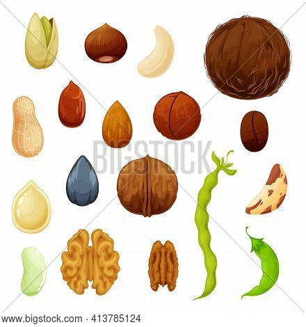Nuts And Beans Icons, Natural Food Cashew And Almond, Peanut And Pistachio Seeds, Vector. Vegetarian