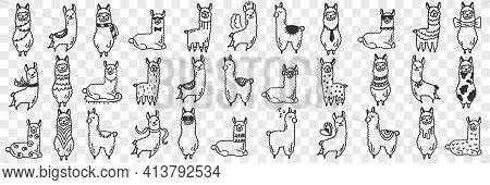 Funny Alpacas Animals Doodle Set. Collection Of Hand Drawn Various Funny Cute Alpaca Animals In Diff