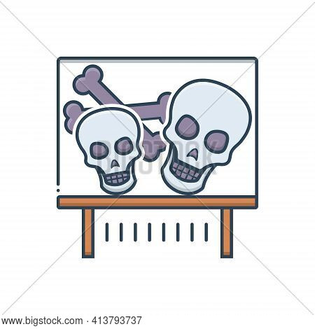 Color Illustration Icon For Bones Exhibit  Skull-ossicle Demonstrate Skull