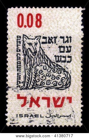 .. และหมาป่าจะอาศัยอยู่กับแกะ... (อิสยาห์ 11, 6)