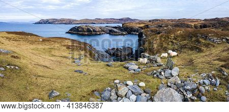 Sheep At The Coastline At Dawros In County Donegal - Ireland