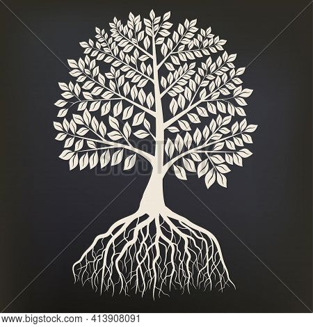 Tree With Root System Silhouette Isolated On Dark Background. Vector