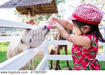 Girl Feeds The Animals In Zoo. Goats In White Fence Tried To Come Out Of Fence Eat Milk From Kid. Ch
