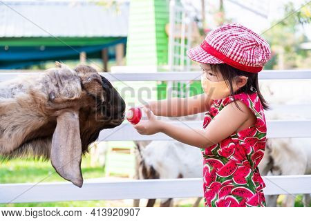 Child Raise Farm Animals. Children Feed Goats With Milk. Kids Wear Red Hat To Protect From The Hot S