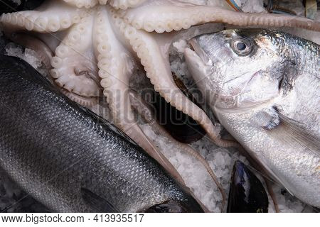 Seafood On Ice. Blue Crab, Dorado, Cuttlefish, Mussels On Ice