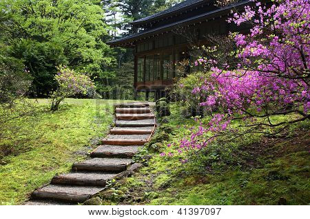 Nikko