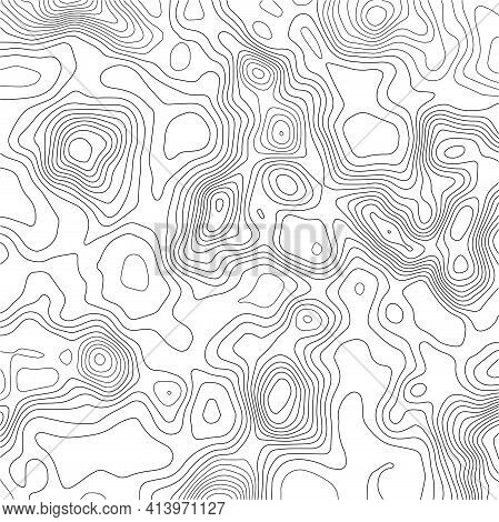 Grid Map.topographic Map Background. Abstract Vector Illustration.