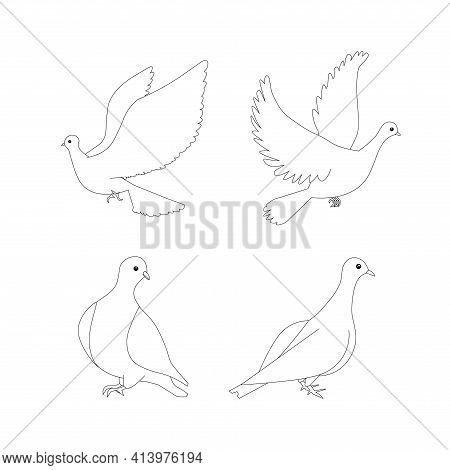 Dove Sketch Outline Monochrome Sketches Set Art Design Elements Stock Vector Illustration For Web, F