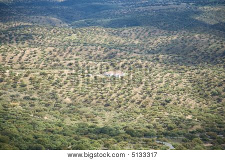 Vista aérea da fazenda