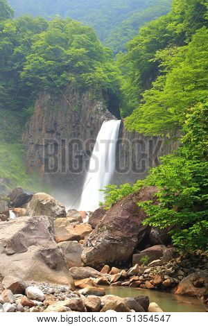 Waterfall In Summer