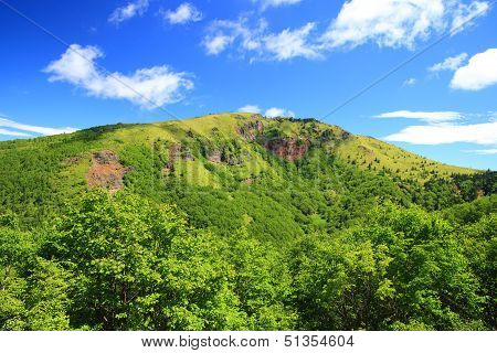 Mountain In Summer