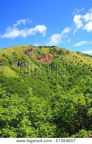Mountain In Summer