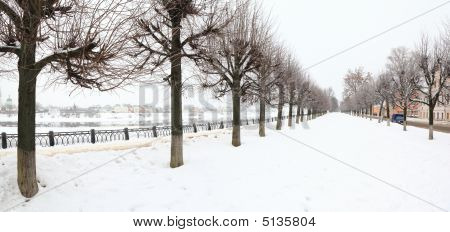 Snowbound Avenue On Embankment