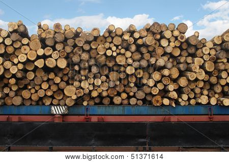 The image of a timber ship