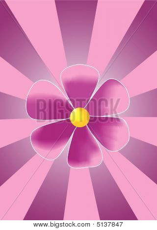 Violet Flower On A Background