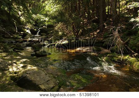 Mountain brook.