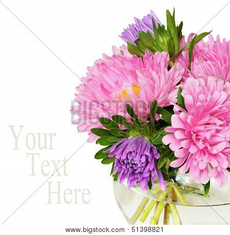 Bouquet Of Pink Asters
