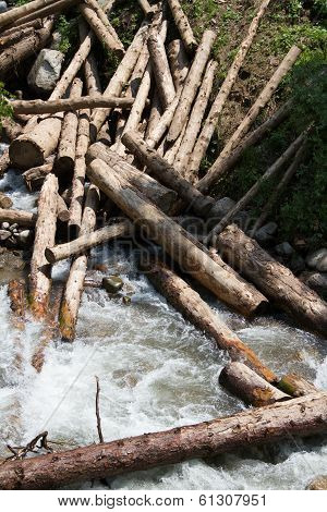 logs in the river
