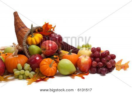 Fall Cornucopia On A White Back Ground