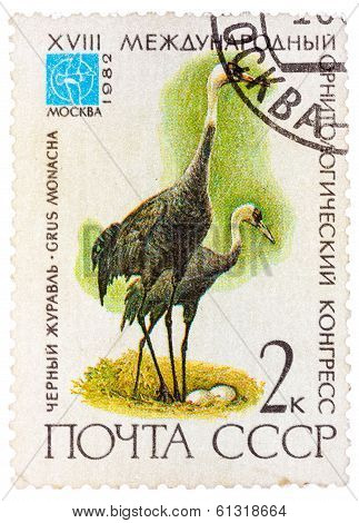 Stamp Printed In Ussr (russia) Shows A Bird Grus Monacha With The Inscription And Name Of Series 