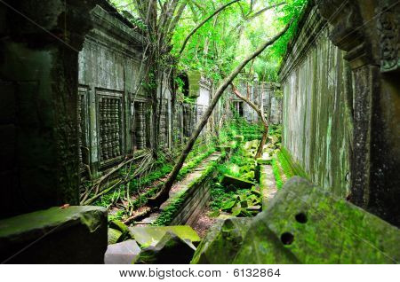 Beng Mealea Temple (Siem Reap, Cambodia)