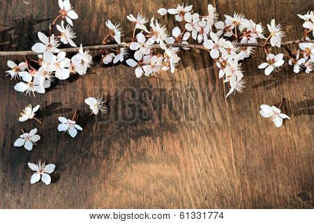 branches in spring colors on a background in vintage style