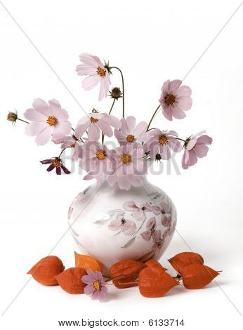 Kukkia maljakko ja Physalis