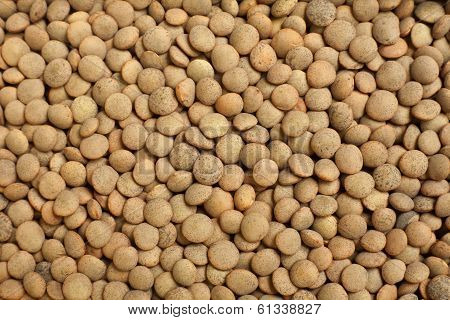 Spanish Lentils Background